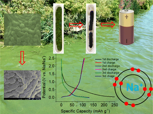 Convert harmful algae into Na-ion battery electrodes
